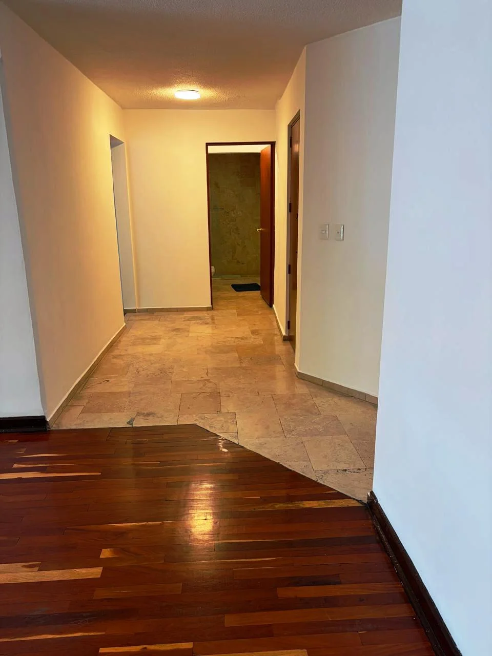 Departamento en Horacio, Polanco V Sección, foto 7 de 12