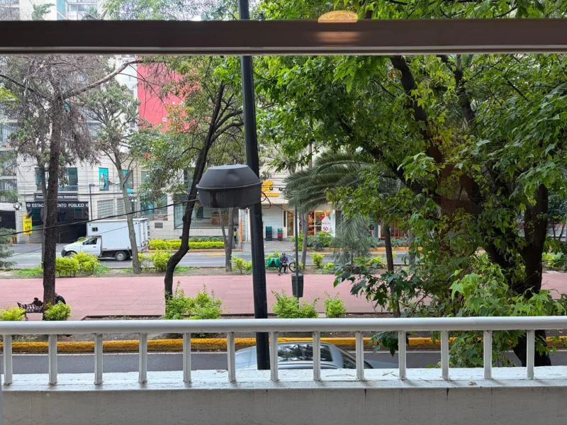 Departamento en Horacio, Polanco V Sección