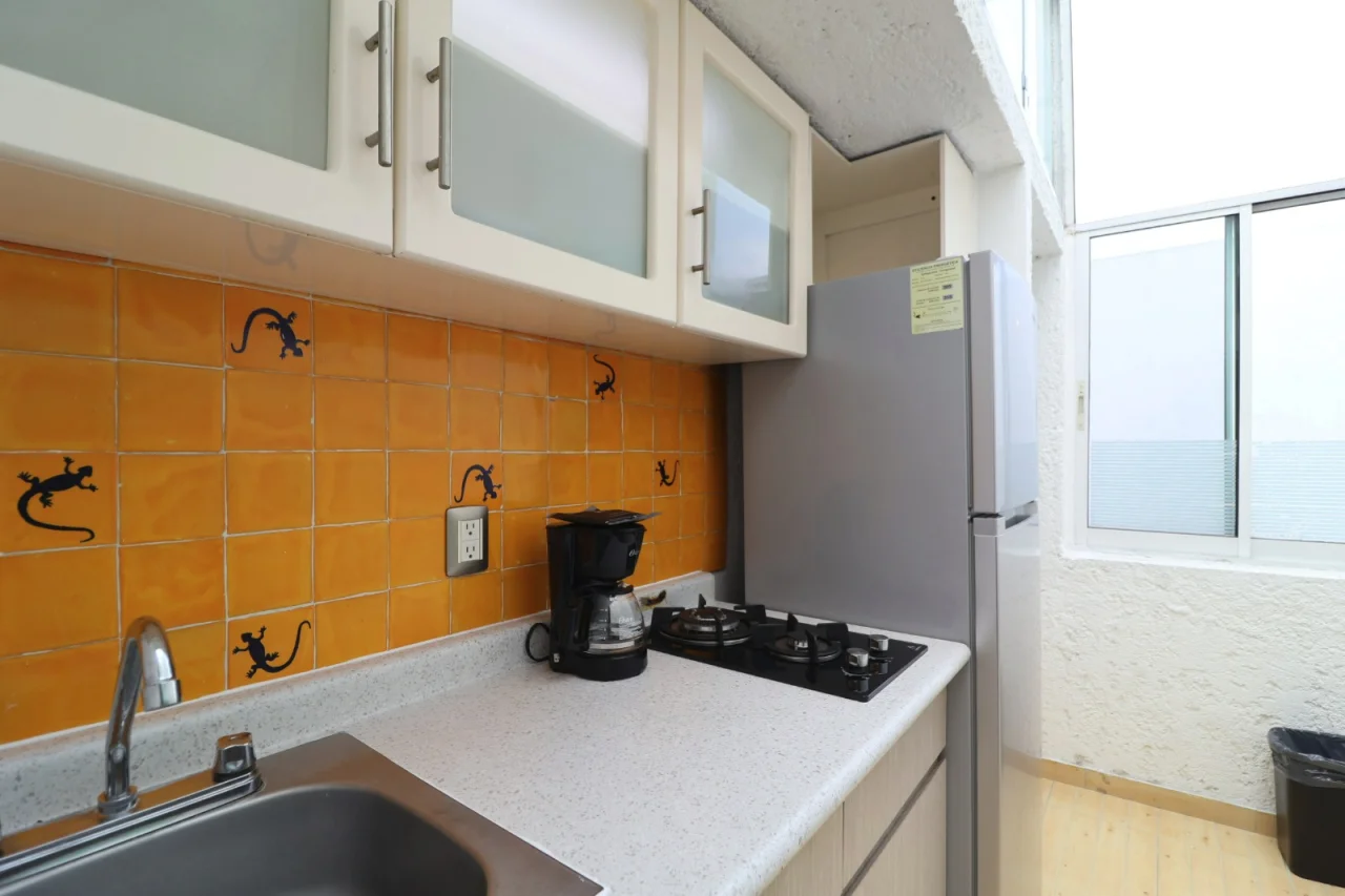 Departamento amueblado en renta, colonia Anzures, foto 10 de 14